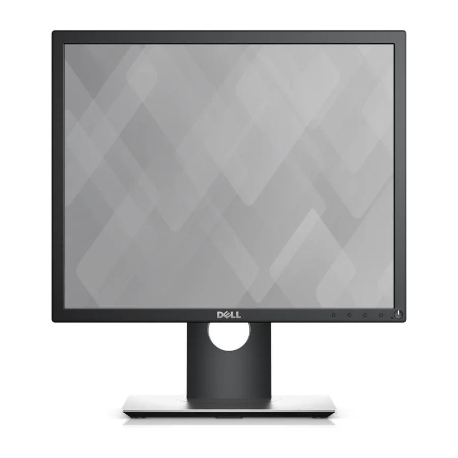 Dell P1917S